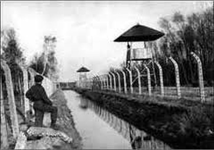 Oorlogsdoden Nijmegen 19401945 Internering van NSBers en Duitsers september 19441945 Oorlogsdoden Nijmegen 19401945 Internering van NSBers en Duitsers september 19441945